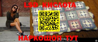 бошки Гусев