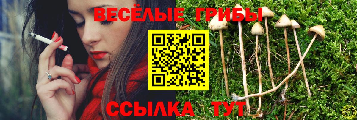 Назарово  закладки  Вход с VPN  Галлюциногенные грибы GOLDEN TEACHER  Галлюциногенные грибы MAGIC MUSHROOMS 